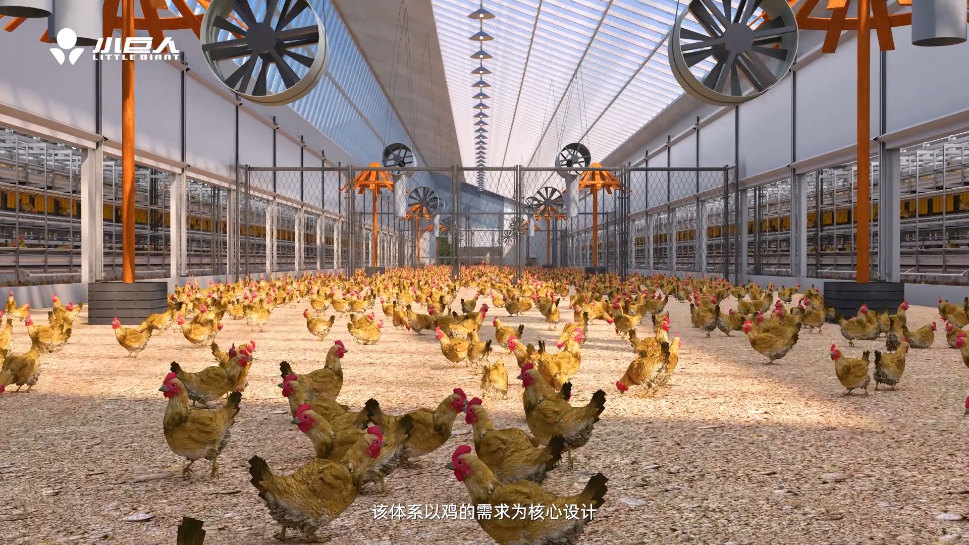 成都小巨人畜牧设备FL24-18阶梯式多层福利养殖系统_3D动画1.jpg